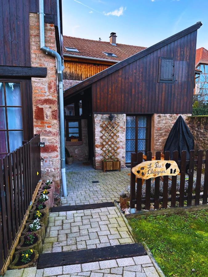 Le Petit Chataignier - Cozy Immo Châtenois Екстериор снимка